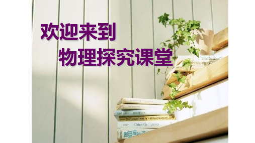 沪科版八年级物理全第六章第四节来自地球的力教学课件共14页