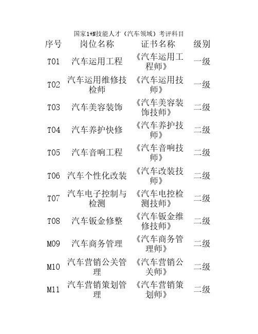 国家1+N技能人才(汽车领域)考评科目