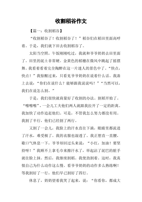 收割稻谷作文