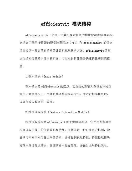 efficientvit 模块结构