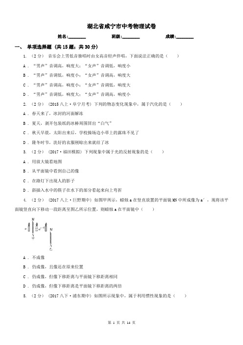 湖北省咸宁市中考物理试卷 