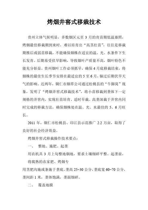 井窖式移栽技术