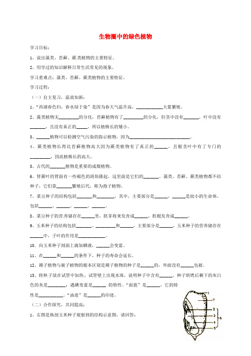 九年级生物下册 绿色植物导学案(无答案 鲁教版