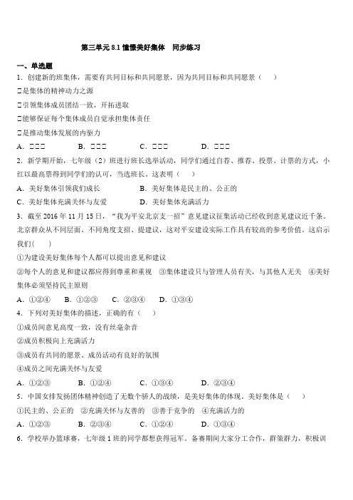 人教版道德和法治七年级下册 8.1 憧憬美好集体 课时训练