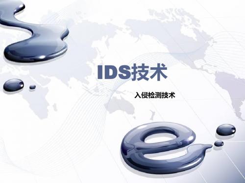 IDS技术