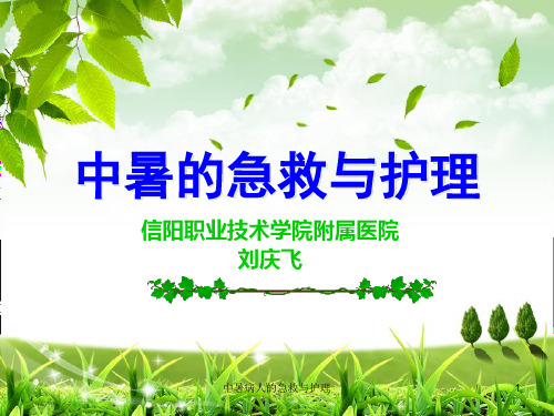 中暑病人的急救与护理课件