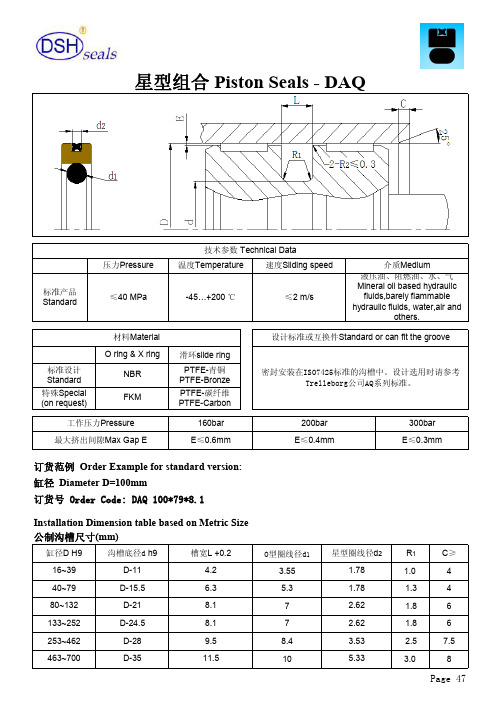 东晟密封件选型手册—星型组合DAQ