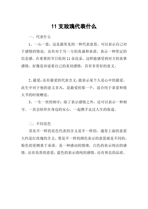 11支玫瑰代表什么