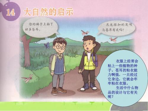 粤教科技版 六年级 下册 14 《大自然的启示》