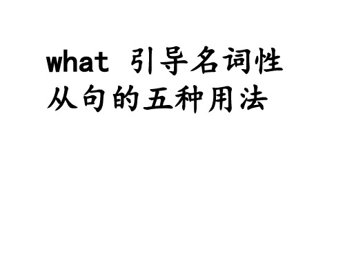 what引导名词性从句的用法