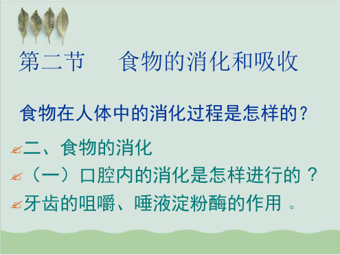食物的消化和吸收 教学课件 北师大版