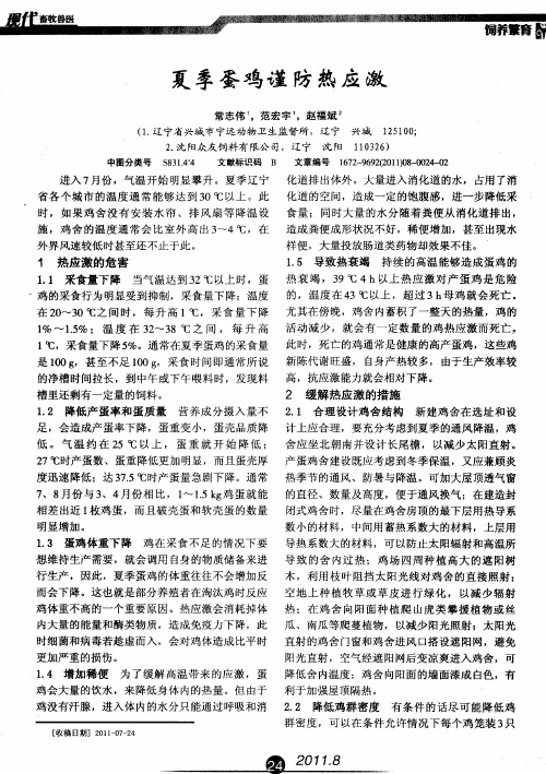 夏季蛋鸡谨防热应激
