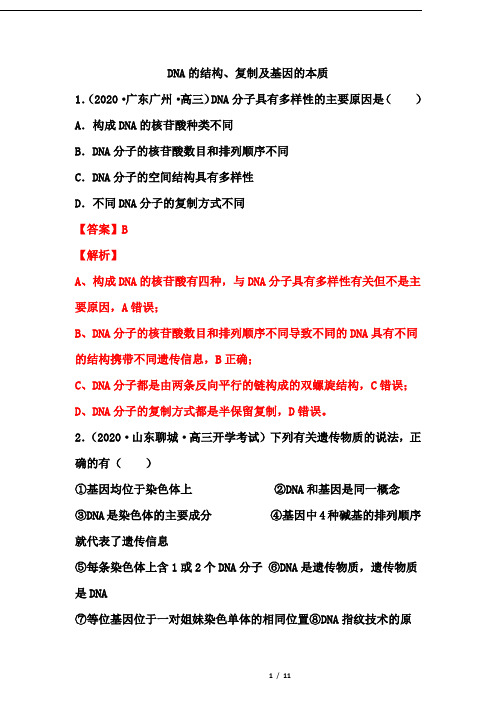 2021届高考生物备考突破训练： DNA的结构、复制及基因的本质(解析版)