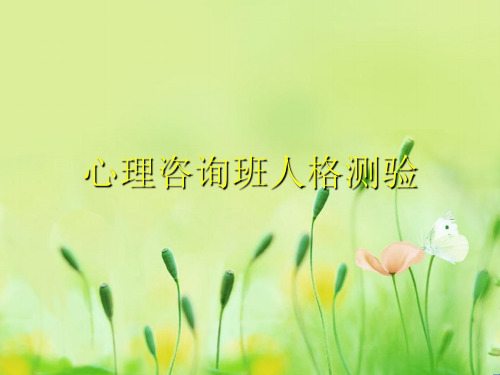 心理咨询班人格测验