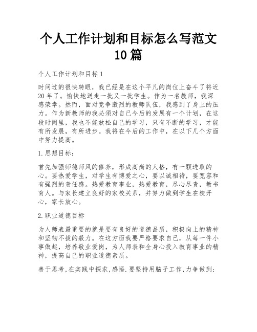 个人工作计划和目标怎么写范文10篇