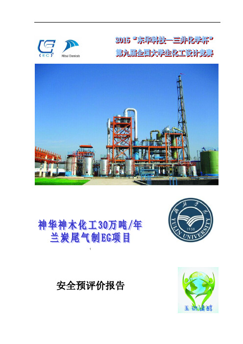 安全预评价报告