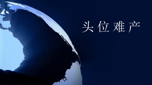 头 位 难 产ppt课件