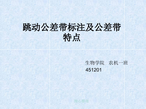 跳动公差带标注及(完整版).pptx