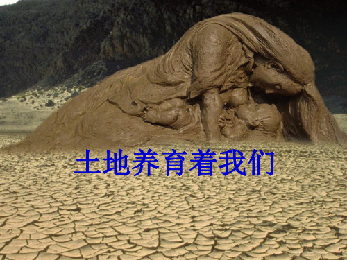 土地养育着我们