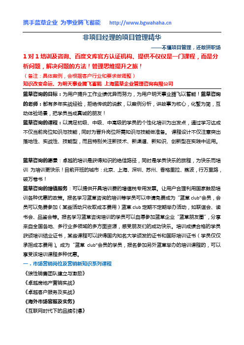 《非项目经理的项目管理精华》