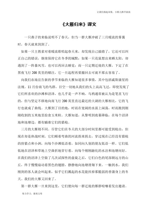 《大雁归来》课文