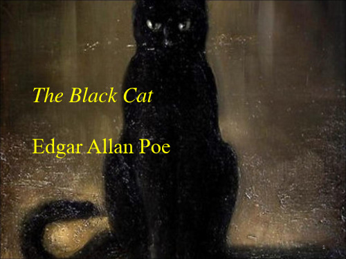 the black cat黑猫PPT课件
