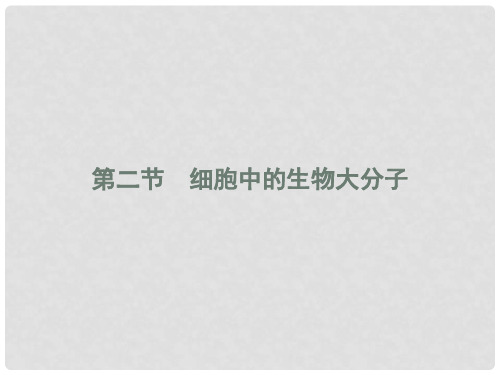 高中生物 第二章 细胞的化学组成 2.2.1 生物大分子的