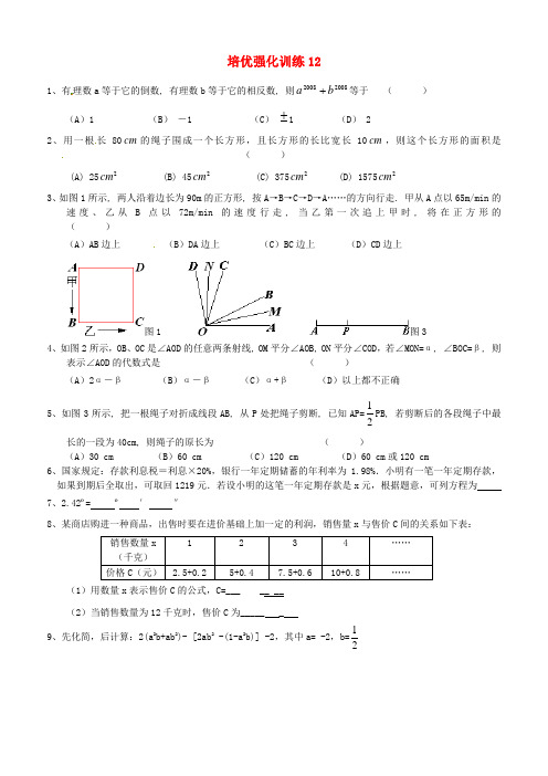 【新人教版七年级数学上册培优强化训练及答案全套15份】培优强化训练12及答案