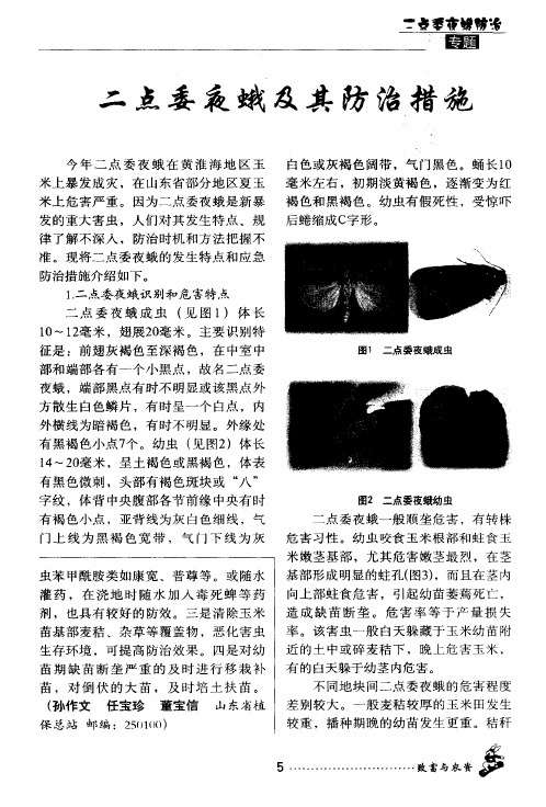 二点委夜蛾及其防治措施