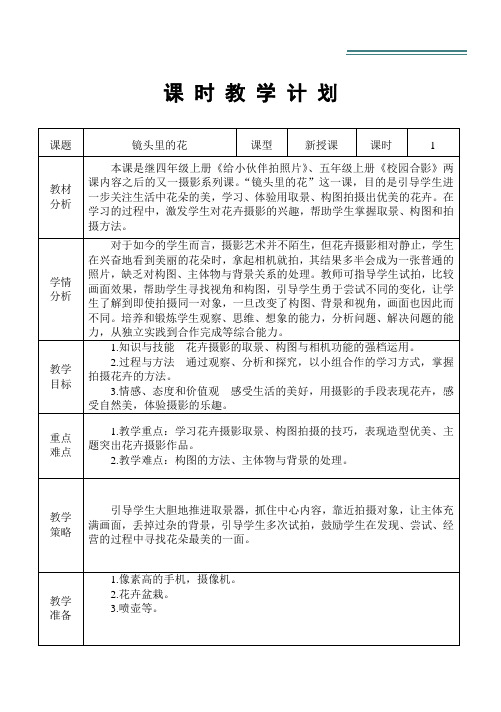 美术五年上册《镜头里的花》