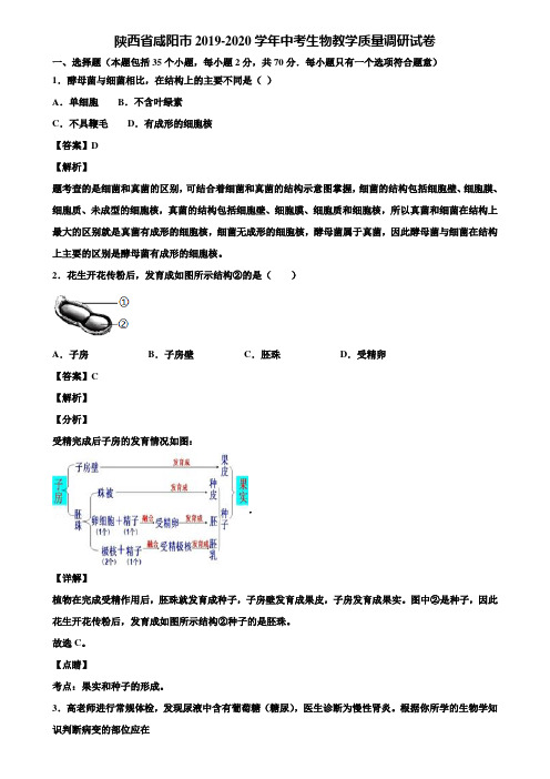 陕西省咸阳市2019-2020学年中考生物教学质量调研试卷含解析