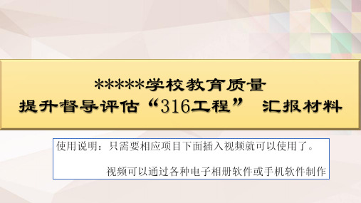 316督导评估汇报材料20191130