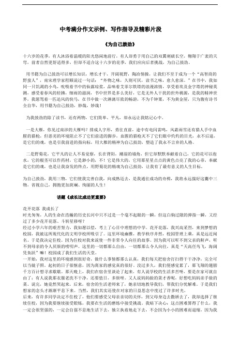 中考满分作文示例、写作指导及精彩片段doc