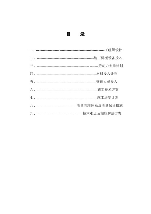 和田县投标文件1