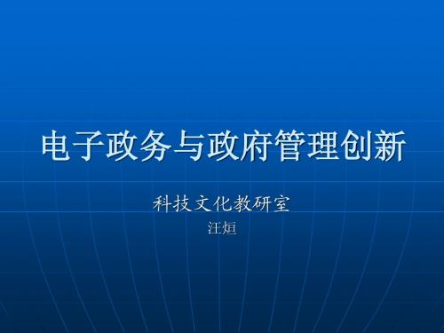 (汪烜)电子政务与政府管理创新2