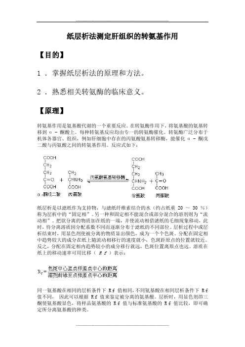 22 生物化学实验--纸层析法测定肝组织的转氨基作用