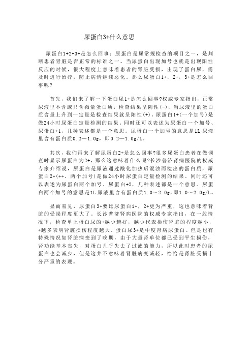 尿蛋白3+什么意思