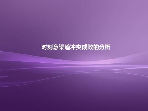 渠道冲突PPT