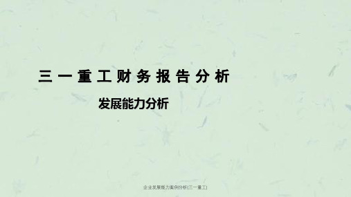 企业发展能力案例分析(三一重工)ppt课件