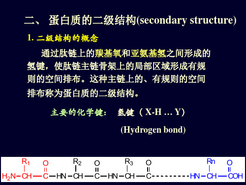 02蛋白质化学2 生物化学清晰易学版课件