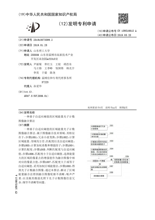 【CN109816618A】一种基于自适应阈值的区域能量光子计数图像融合算法【专利】