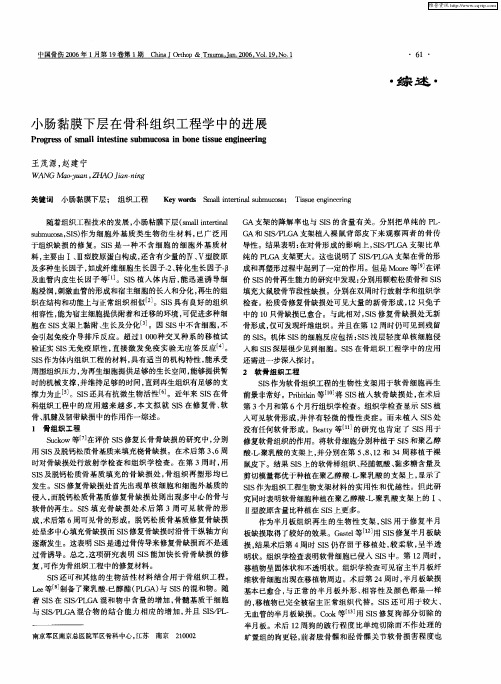 小肠黏膜下层在骨科组织工程学中的进展