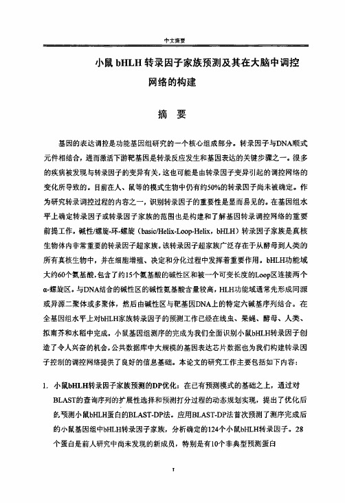 小鼠bhlh转录因子家族预测及其大脑调控网络的构建