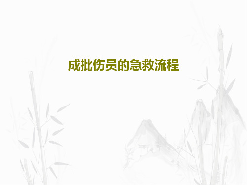 成批伤员的急救流程共43页