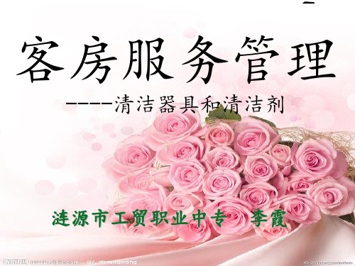 清洁器具和清洁剂