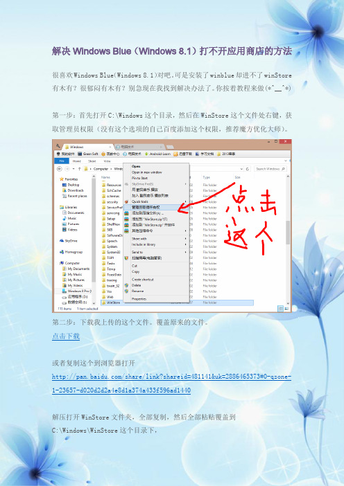解决Windows Blue(Windows 8.1)打不开应用商店的方法