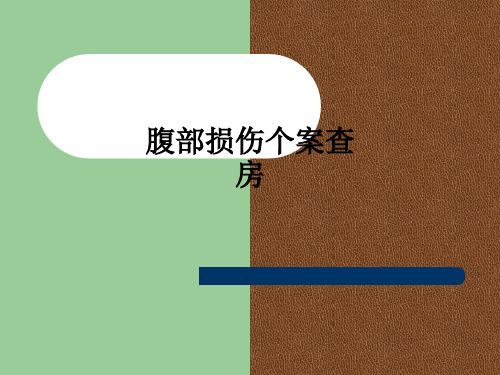 腹部损伤个案查房ppt课件