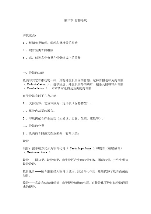 第三章骨骼系统讲授重点