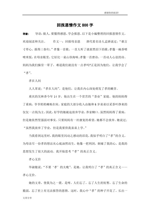 回报恩情作文800字