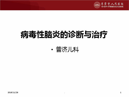 儿童病毒性脑炎的诊断与治疗PPT课件